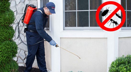 Sığacık Akrep İlaçlama böcek ilaçlama ve haşere kontrolü — ilaclama-tr.com